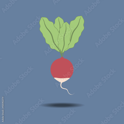 Radish Vegetable Icon