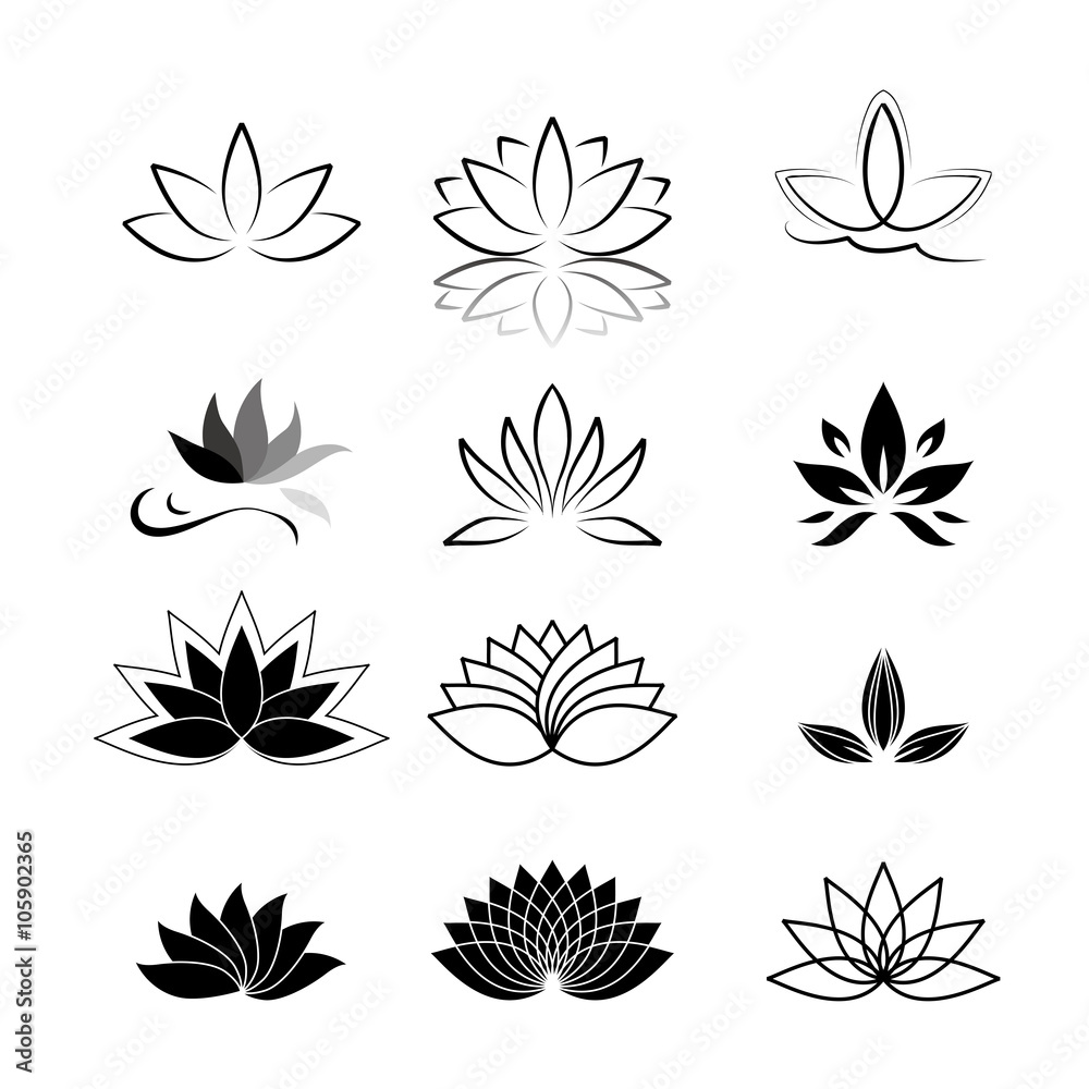 Fototapeta premium water lily, lotus flower icon set
