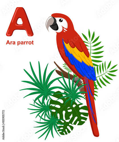 Alphabet for children. Cute vector zoo alphabet with cartoon animals isolated on white A ara parrot