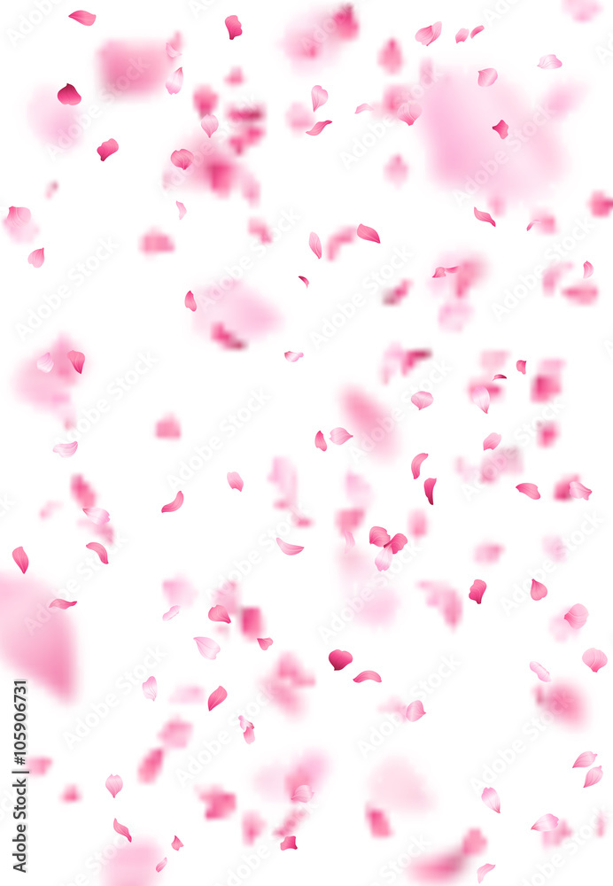 Pink sakura petals background.