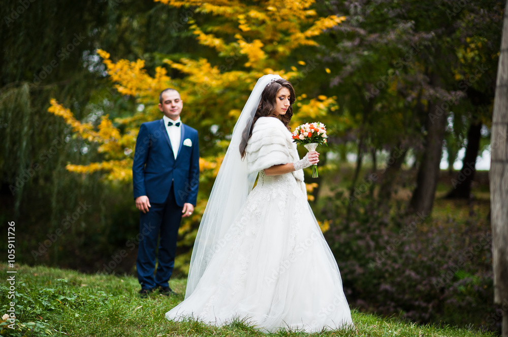 Wedding couple background autumn landscape of yellow leaves Wedding couple background autumn landscape of yellow leaves