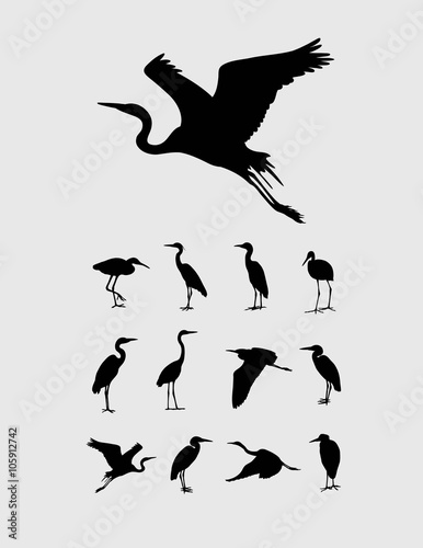 Valokuvatapetti Heron and Stork Bird Silhouettes, art vector design