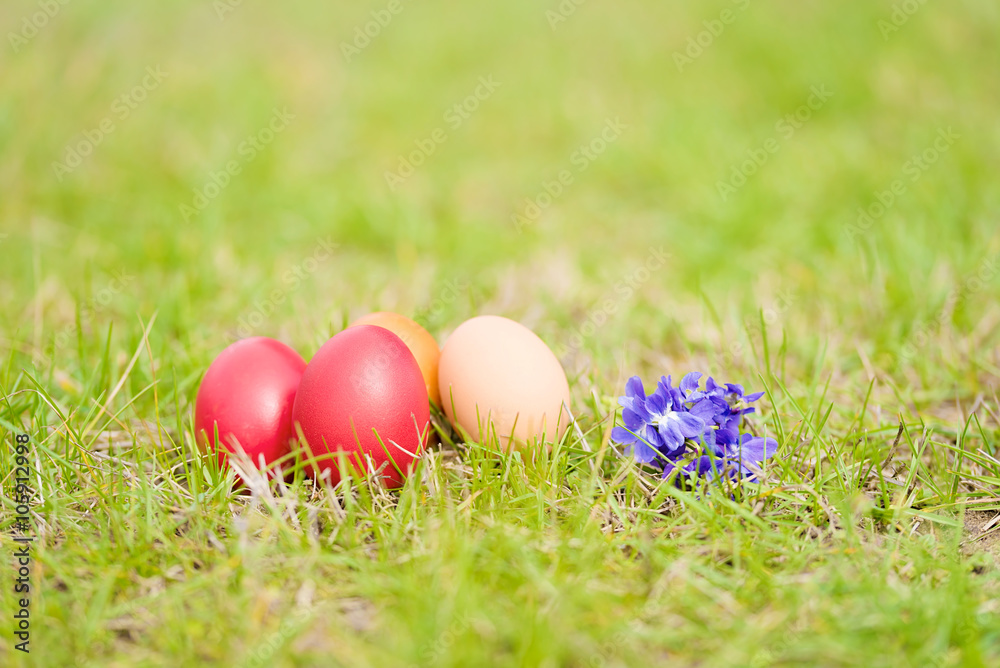 Easter egg and violet flower in the green grass