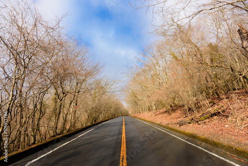 青空と冬の山の中の道路 