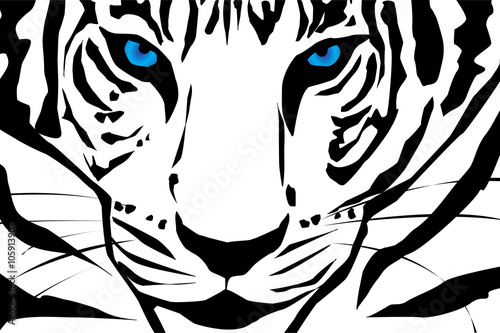 Fototapeta Naklejka Na Ścianę i Meble -  Vector silhouette of tiger.