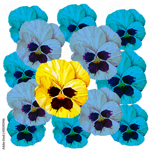 Pansy