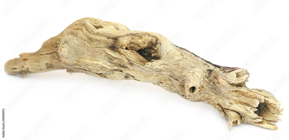Bogwood Bogwood