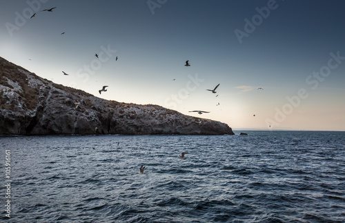 Isla Grosa - Spanish island near La Manga photo