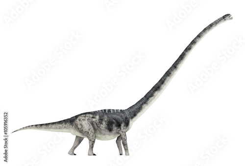Dinosaur Omeisaurus isolated on white background © Michael Rosskothen