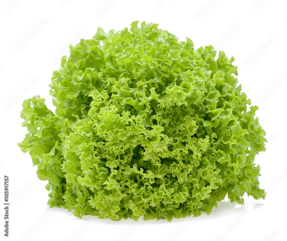 Green oak lettuce leaf isolated on white background Green oak lettuce leaf isolated on white background