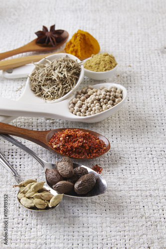 spices photo