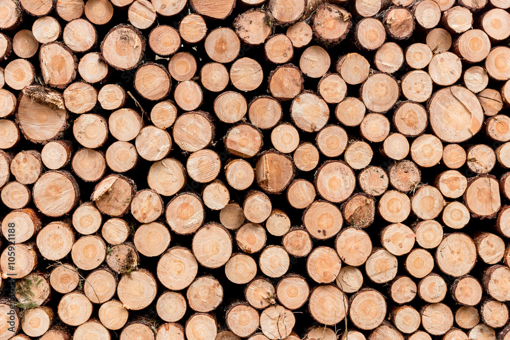 Pile of wood logs ready for winter