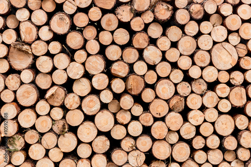 Pile of wood logs ready for winter