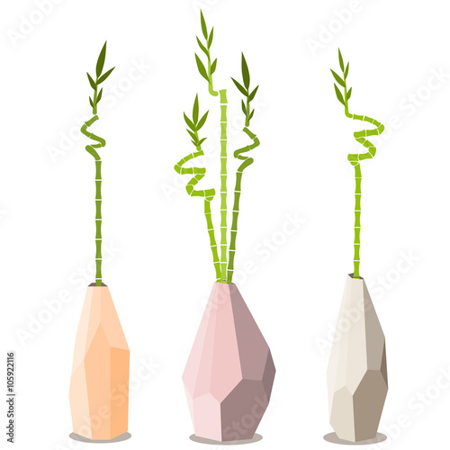 bamboo stems in vase on white background