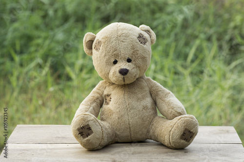 Teddy bear sitting , .blurred background.