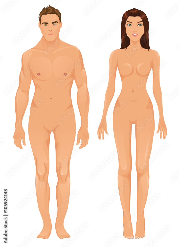 Vector male and female models Vector male and female models