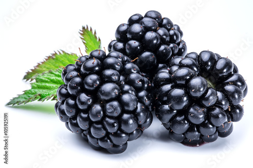 Three blackberries on the white background.