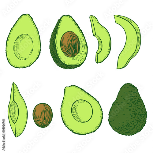 Vector hand-drawn green avocado set