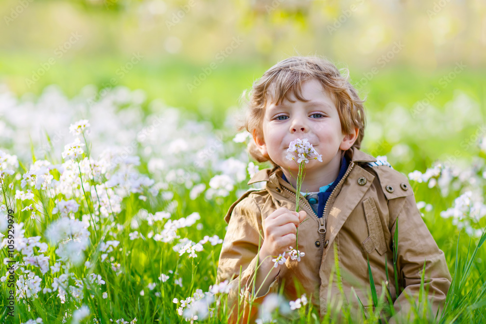 Kid boy in spring garden with blooming flowers Kid boy in spring garden with blooming flowers