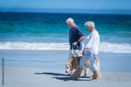 Cute mature couple holding hands walking the dog
