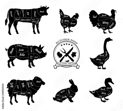 Set Schematic Vew of Animals for Butcher Shop