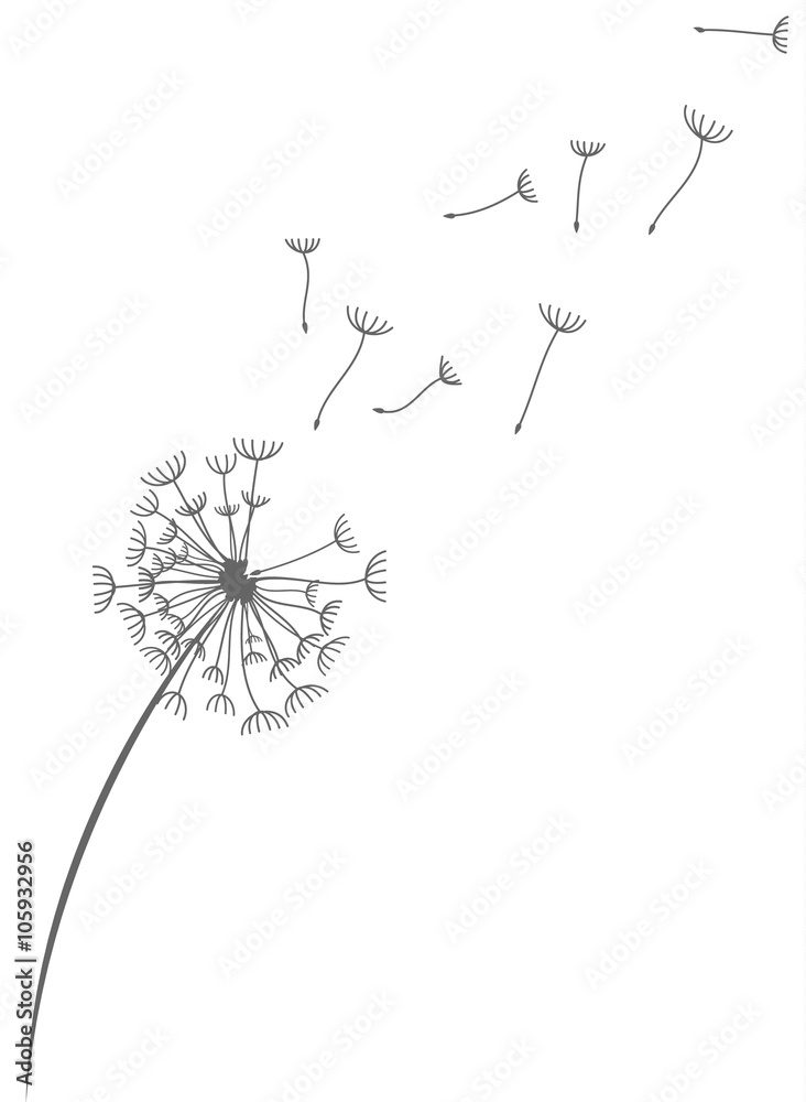 Pusteblume Löwenzahn mit Pollen Samen schwarz Silhouette Vektor  Stock-Vektorgrafik | Adobe Stock