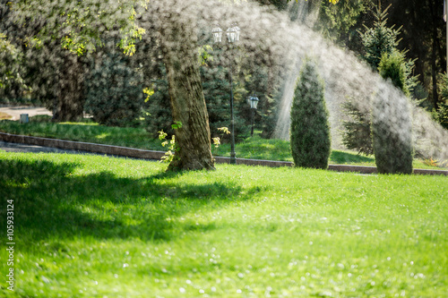 Fototapeta Naklejka Na Ścianę i Meble -  garden sprinklers