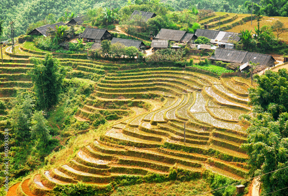 View of rice terraces and village houses in Sa Pa, Vietnam