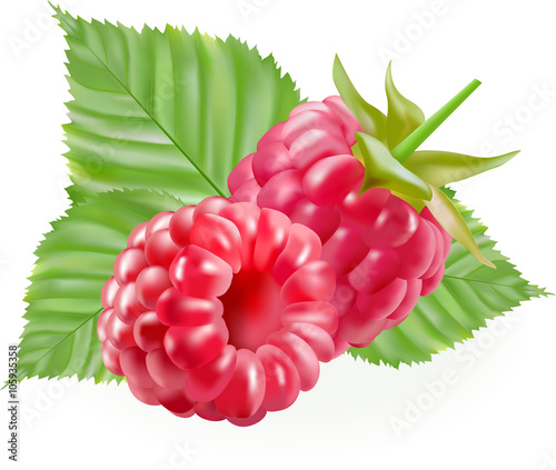 rasberries with green leaves