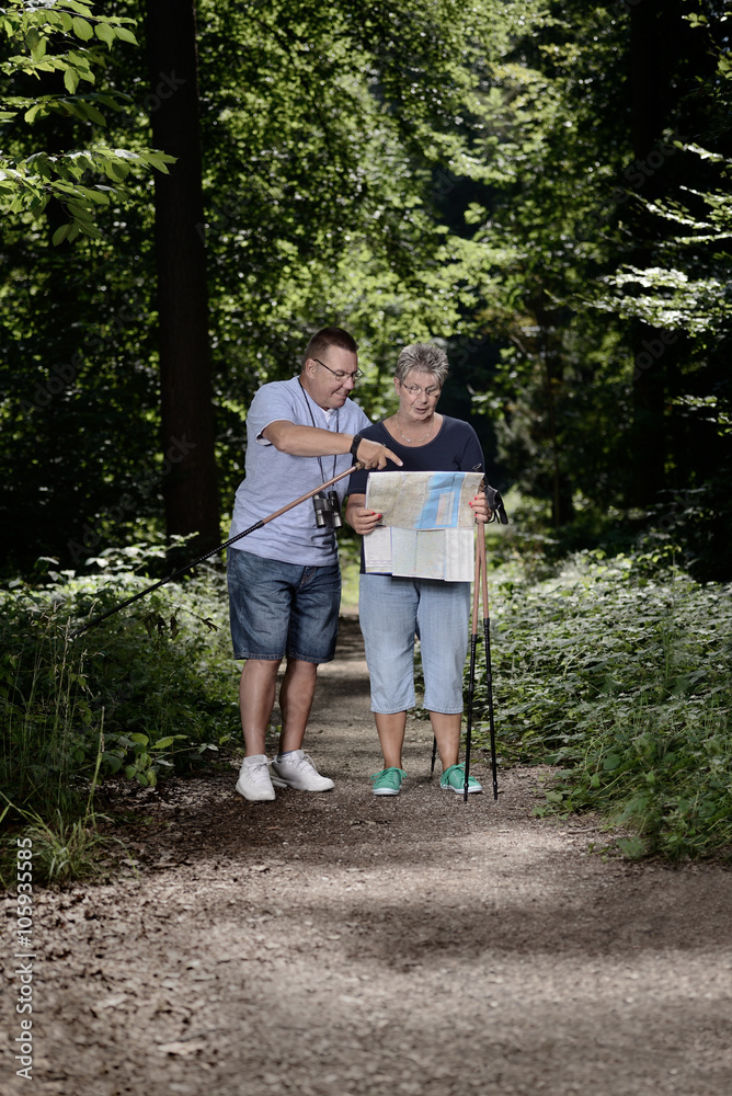 Fototapeta premium Sonianie z mapą szukają sposobu na wędrówkę