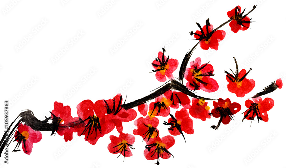 Obraz premium A branch of a blossoming tree. Pink flowers of sakura . Watercolor and ink illustration in style sumi-e, u-sin. Oriental traditional painting. Isolated on white background.