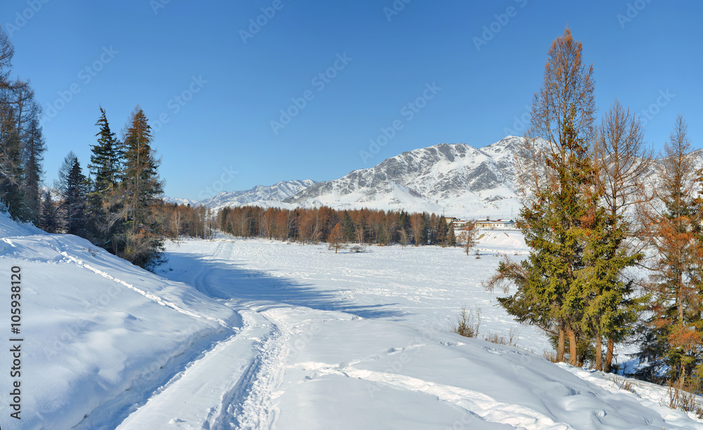 panoramic landscape of winter village road