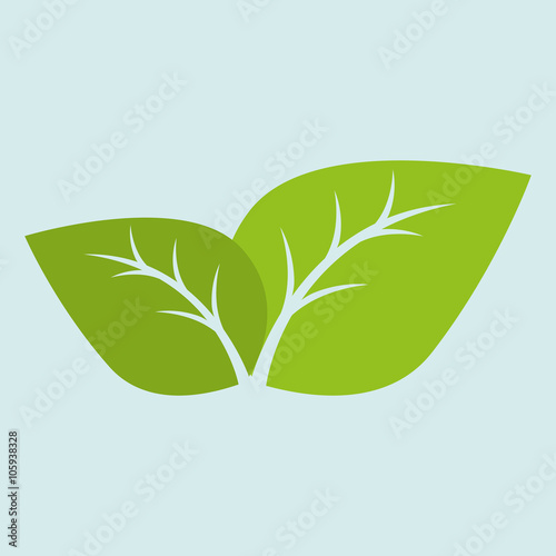 leaf icon  design 