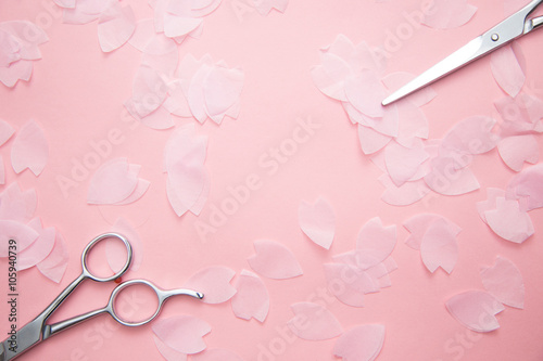 hairdressing scissors and sakura petals