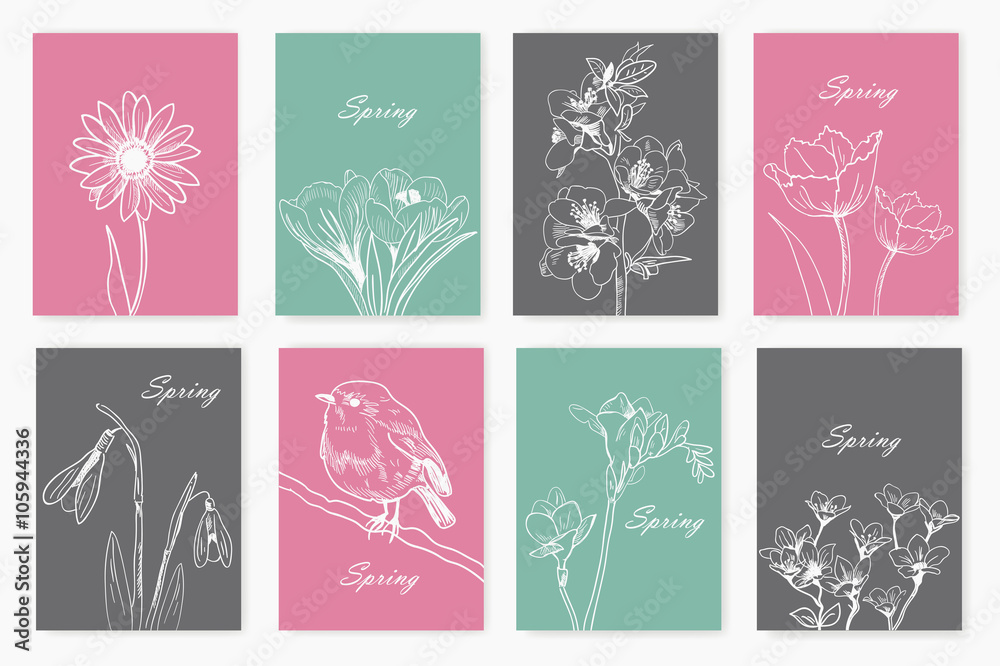 drawn spring flowers. set of cards