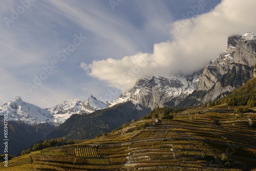 Vignoble valaisan (Chamoson) Suisse photo
