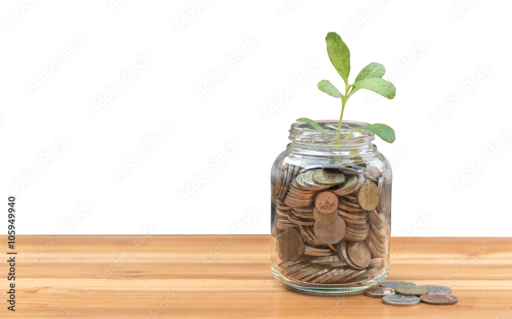 Coins and seed in clear bottle isolated on white background Coins and seed in clear bottle isolated on white background
