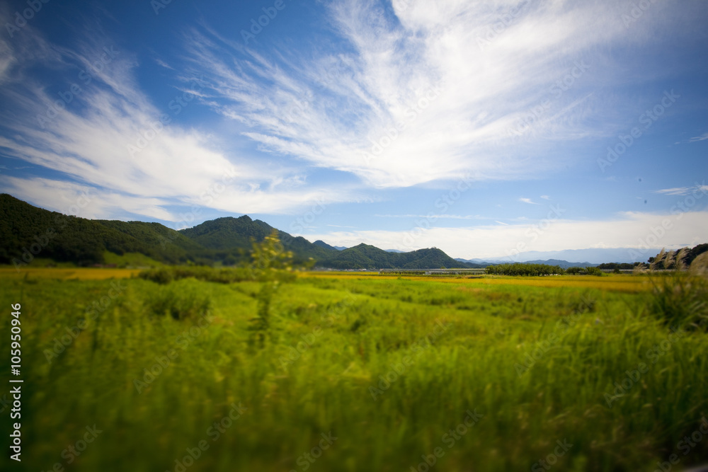 Obraz premium 山並み