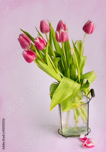 Fototapeta Naklejka Na Ścianę i Meble -  Tulipani rossi nel vaso