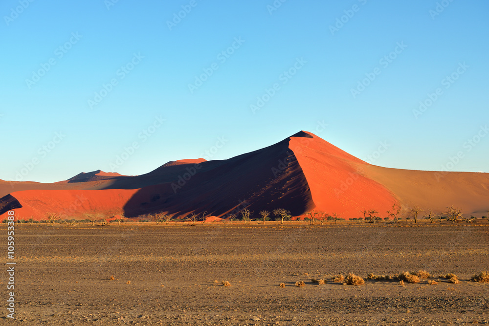 Sossusvlei, Namib Naukluft National Park, Namibia Sossusvlei, Namib Naukluft National Park, Namibia