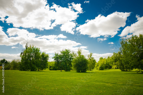 Green trees in beautiful park