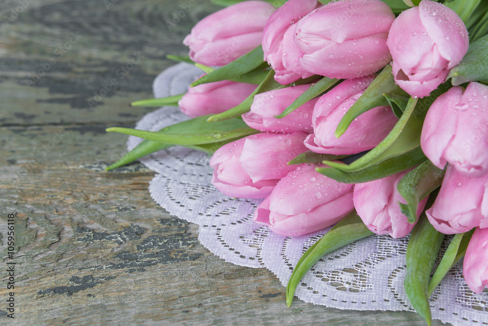 Fototapeta premium Pink tulips flowers