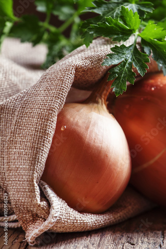 Onions in a canvas bag, dark toned photo, selective focus photo