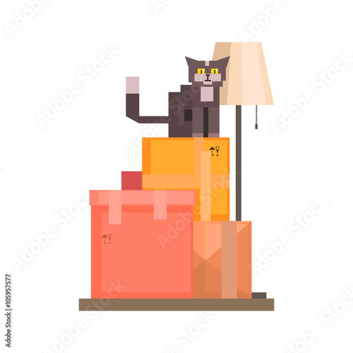 Cat Sitting On Boxes