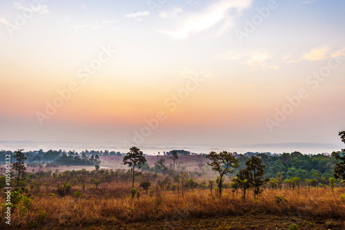 Sunrise in savanah meadow