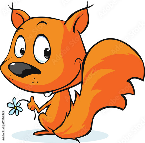cute vector red squirrel isolated on white background