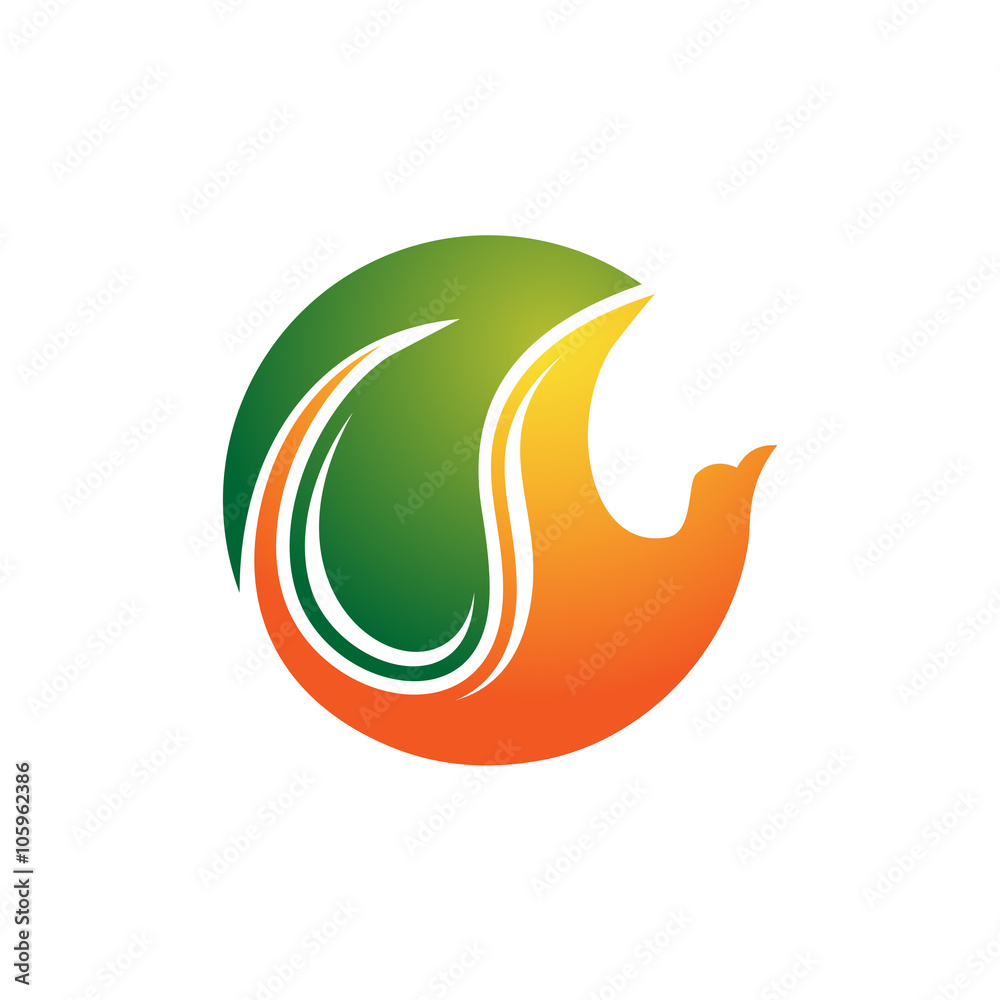 Obraz premium Nature Bird Animal Conservation