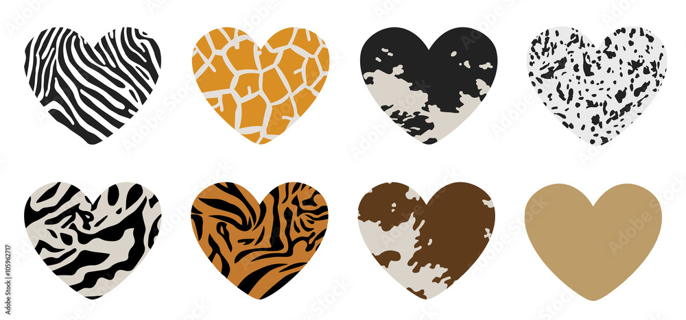 Shape of hearts, painted under animal skins Shape of hearts, painted under animal skins