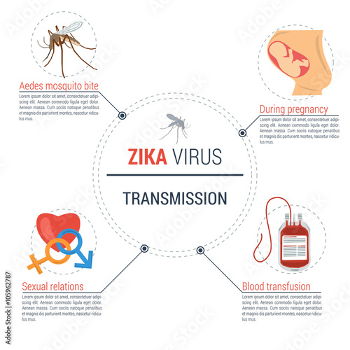 Zika virus infographic - transmission