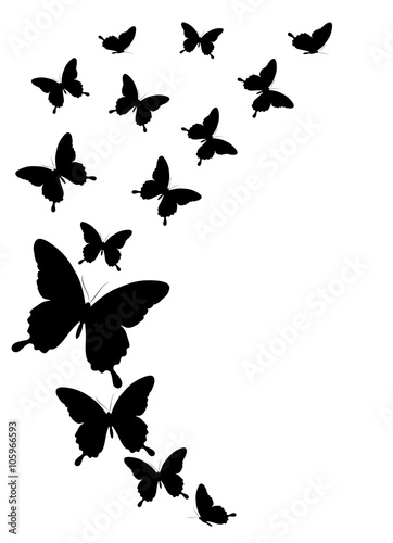 butterflies design